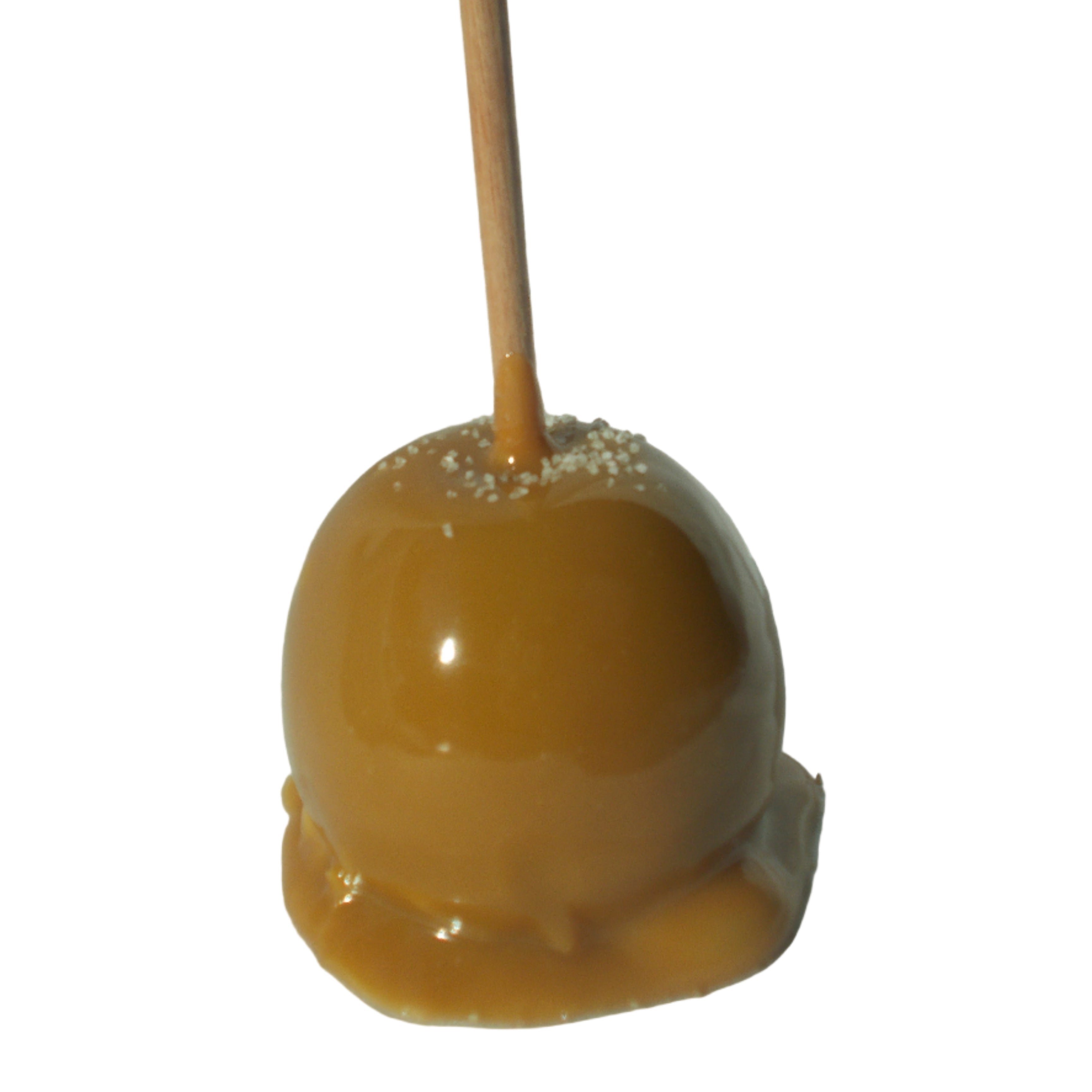Caramel apple on a stick with a white background